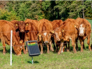 Tornado Master 5.0 voor ATV Omheiningsmachine met chassis