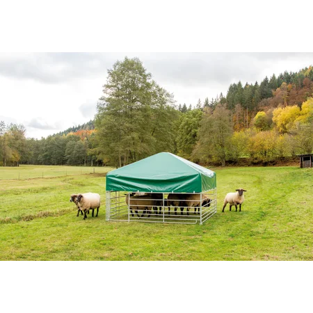 weidetent voor schapen