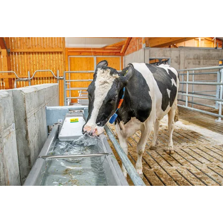 watervoorziening voor stal en weide