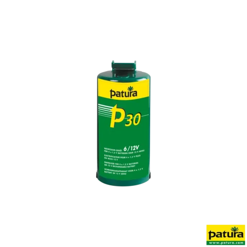 P30 schrikdraadapparaat batterij/ 12V