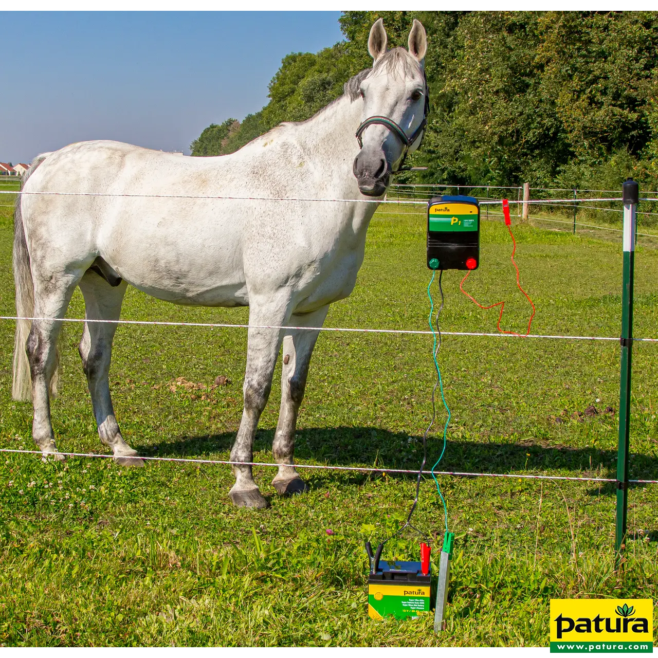 P2 combiapparaat 230V/12V - Afbeelding 5