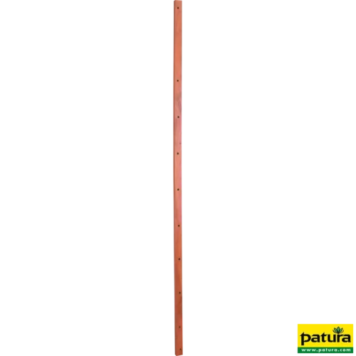 PATURA Hardhouten lat, isolerend 1,54 m (38 x 26 mm)
