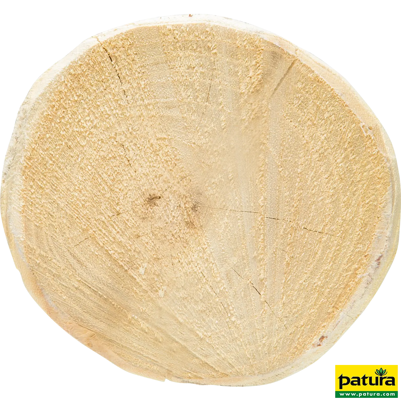 Robinia paal, rond, 2000 mm, d=10-12 cm afgekant, 4-vlak punt, ontschorst - Afbeelding 3