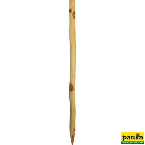 Robinia paal, rond, 2,0 m, d= 6-8 cm, afgeschuind, 4- voudig gescherpt,