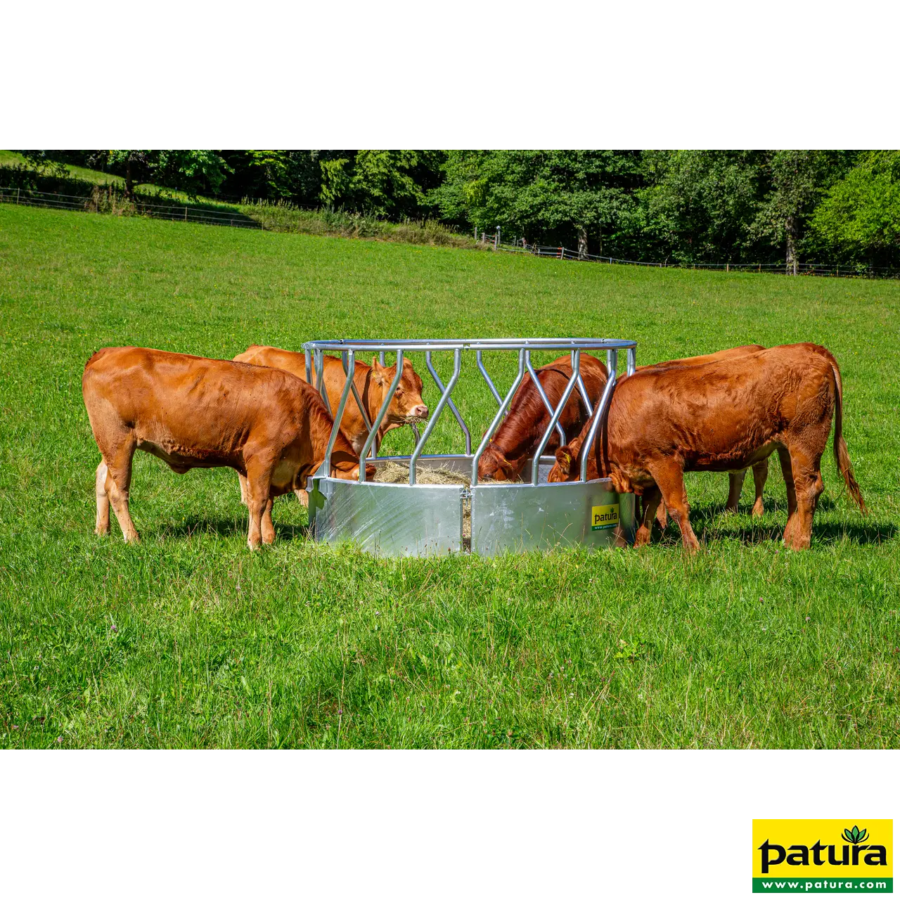 Ronde ruif met diagonaal voerhek 3-delig, d= 2,10m, 18 Voerplaatsen - Afbeelding 3