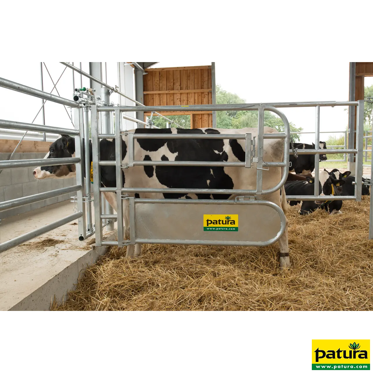 Afscheiding voor dier behandeling - Afbeelding 3