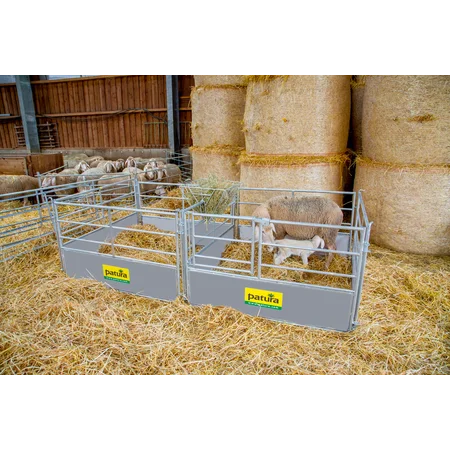 kraamhokken voor schapen