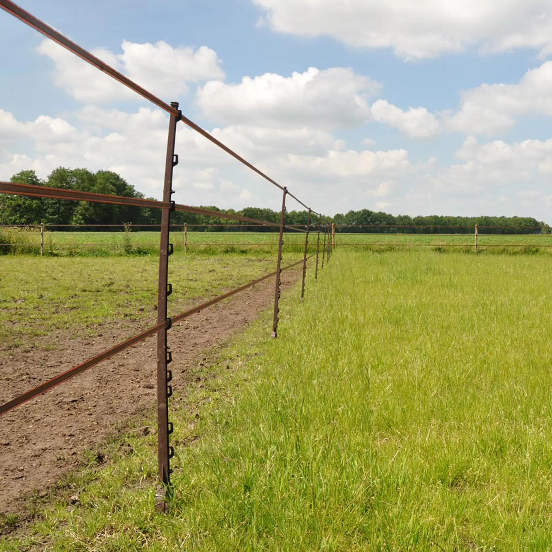 Stijgbeugelpaal 1,55m wit (5 stuks) voor mobiele rasters Stijgbeugelpaal 1,55m wit (5 stuks) voor mobiele rasters - Afbeelding 4